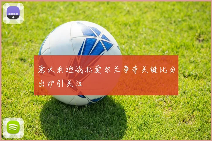意大利迎战北爱尔兰争夺关键比分出炉引关注