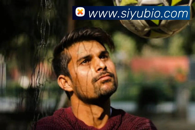 买球官方平台生态图