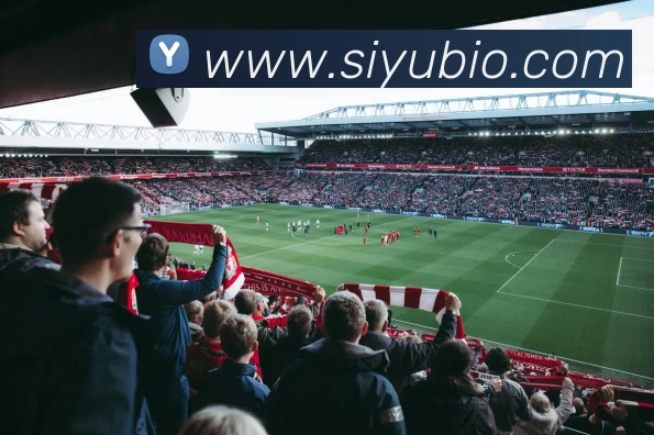 买球官方APP 封面图